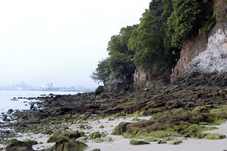 view of sentosa shore