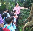 kids are fascinated by the trees